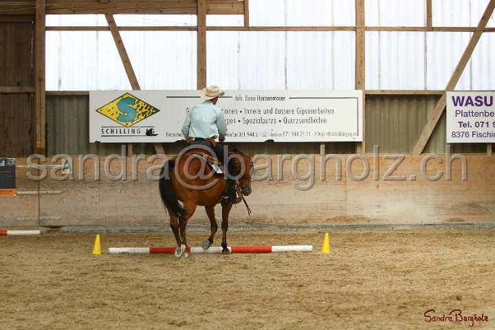 26-ApHC GT_025.jpg